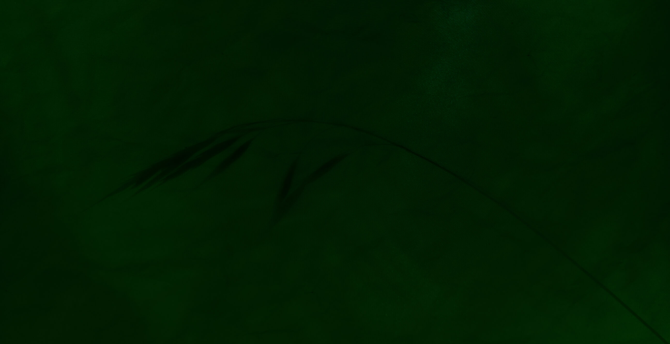 Yến Đảo Cần Giờ